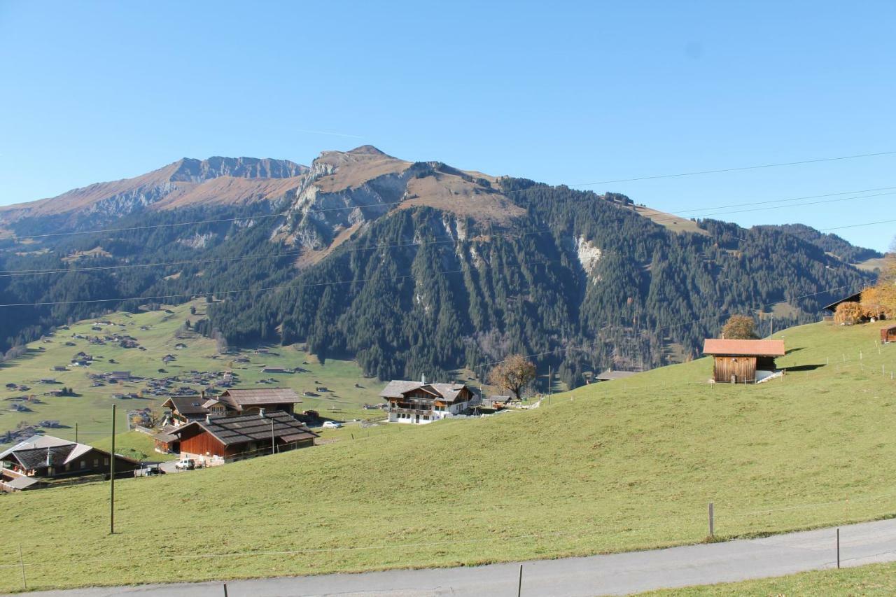 Chalet Weissenberg Lenk Kültér fotó