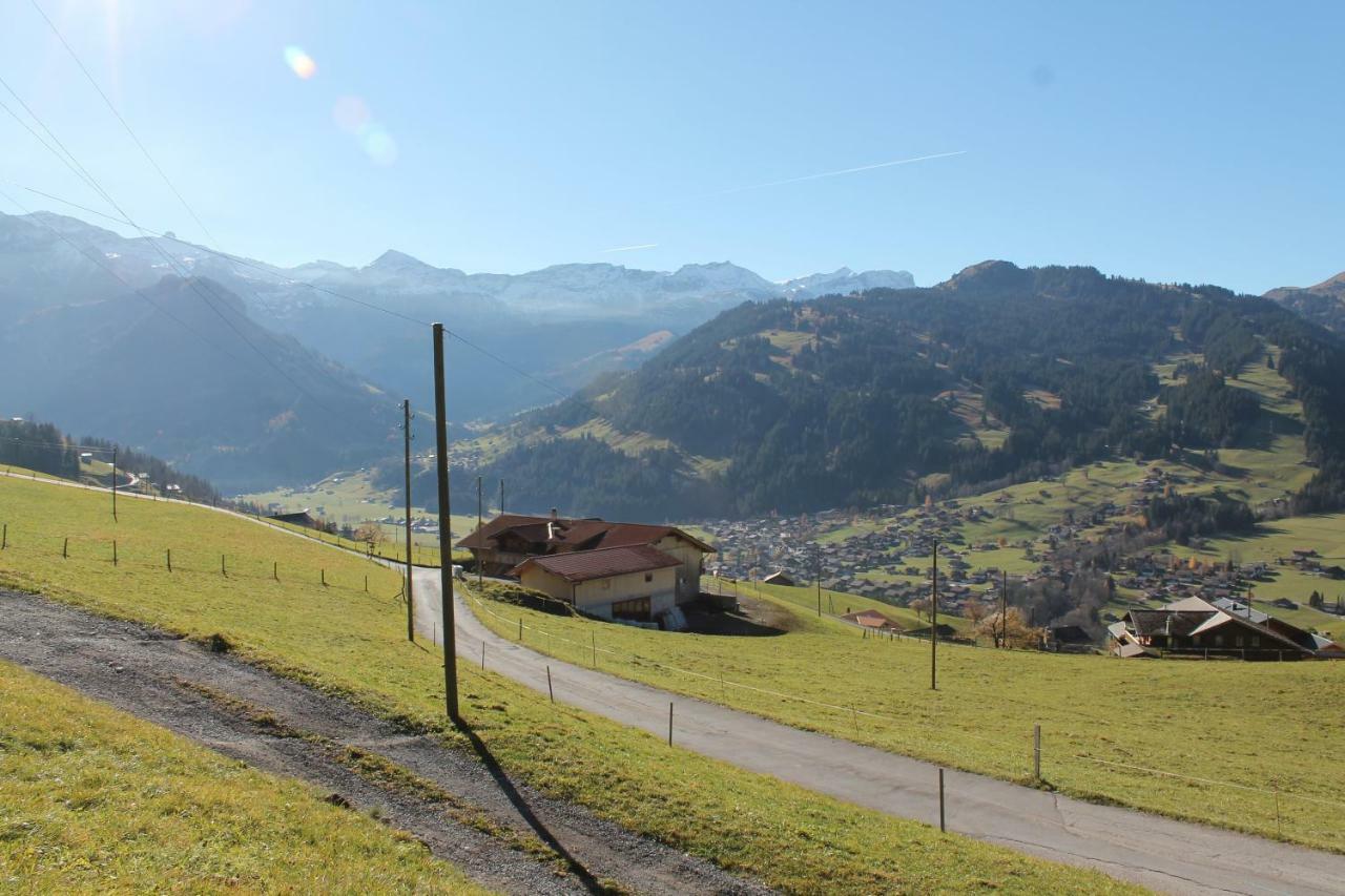Chalet Weissenberg Lenk Kültér fotó